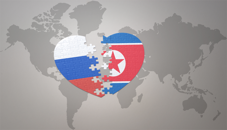 The Russia-Ukraine War and North Korea-Russia Relations  
